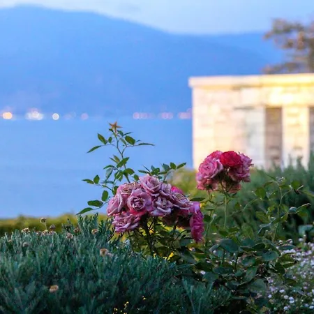 Albatross Sea Side & Pelion View Luxury Волос