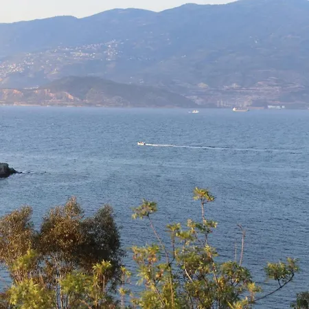 Albatross Sea Side & Pelion View Luxury *